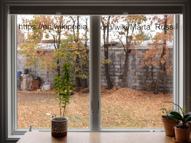 Ein Fenster mitAusblick in den Garten, der Laub bedeckt ist