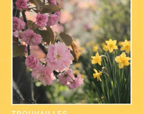 Frühlingserwachen mit Kirschblüten und Narzissen.