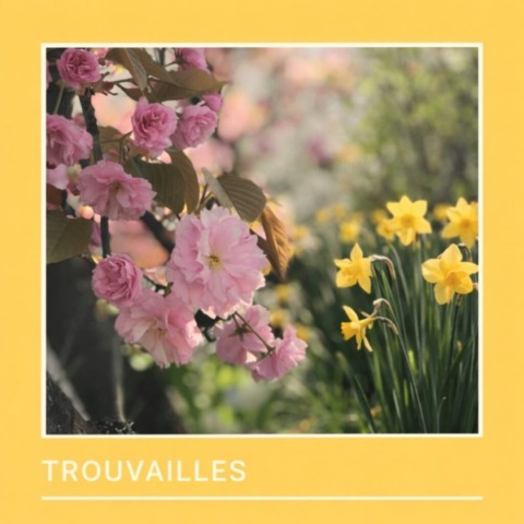 Frühlingserwachen mit Kirschblüten und Narzissen.